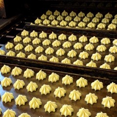 株式会社ルポ・シャルマン